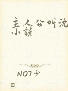 主人公叫沈晴的小说