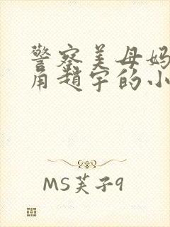 警察美母妈妈主角赵宇的小说