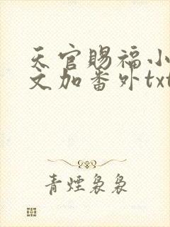 天官赐福小说全文加番外txt封面