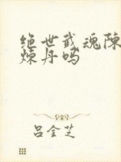 绝世武魂陈枫会炼丹吗