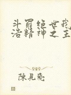 斗罗绝世我霍雨浩精神之主