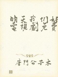 明天我们好好过电视剧免费观看全集封面