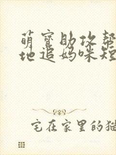 萌宝助攻帮着爹地追妈咪短剧封面