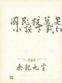 国民校草是女生 小说下载txt