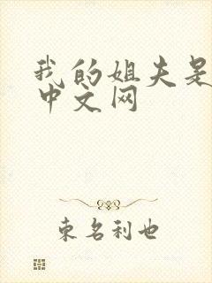 我的姐夫是太子中文网