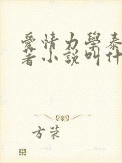 爱情力学泰剧原著小说叫什么