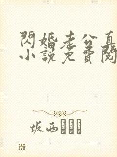 闪婚老公真给力小说免费阅读全文封面