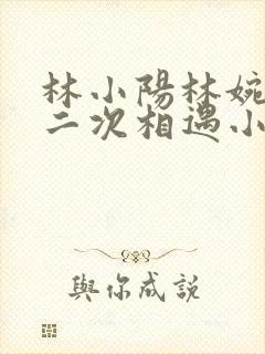 林小阳林婉君第二次相遇小说小说林封面