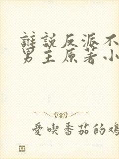 谁说反派不能当男主原著小说