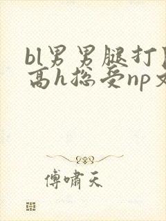 bl男男腿打开高h总受np文