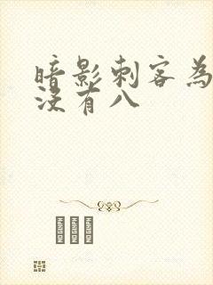 暗影刺客为什么没有八