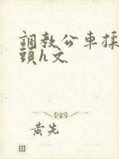 调教公车揉捏奶头h文封面