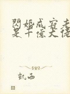 闪婚成宠老公竟是千亿大佬免费阅读txt