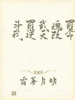 斗罗武魂罗三炮我逆天改命小说