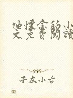 他怀念的小说全文免费阅读封面