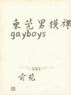 东莞男模裸体男gayboys