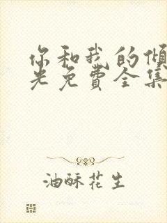 你和我的倾城时光免费全集观看