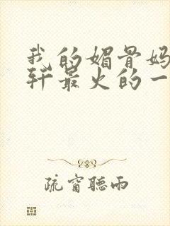 我的媚骨妈妈林轩最火的一句