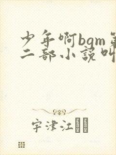 少年啊bgm第二部小说叫什么