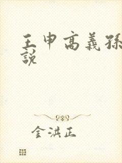 王申高义孙倩小说