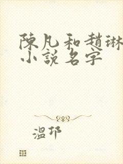 陈凡和赵琳琳的小说名字