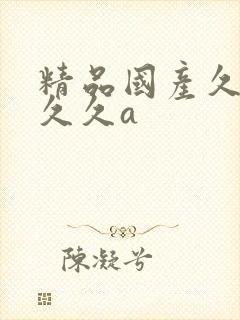 精品国产久久久久久a