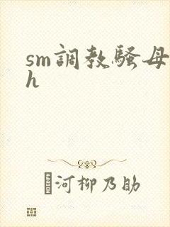 sm调教骚母狗h封面