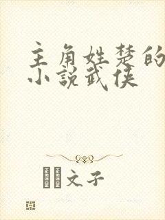 主角姓楚的穿越小说武侠封面