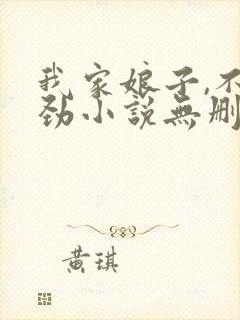 我家娘子,不对劲小说无删减版封面