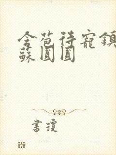 含苞待宠镇国公苏圆圆封面