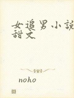 女追男小说推荐甜文