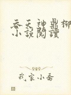 吞天神鼎柳无邪小说阅读