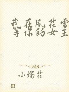 我在风花雪月里等你的女主