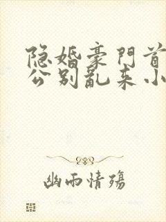 隐婚豪门首席老公别乱来小说