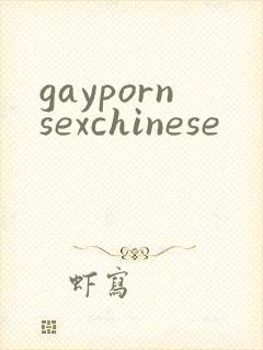 gaypornsexchinese