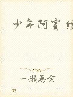 少年阿宾 续封面