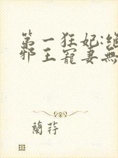 第一狂妃:绝色邪王宠妻无度