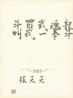 斗罗武魂龙拳请叫我一拳斗罗笔趣阁