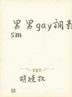男男gay调教sm