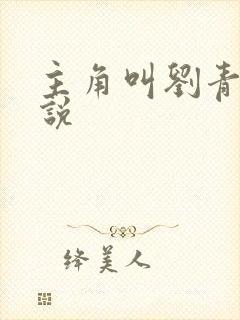 主角叫刘青的小说封面