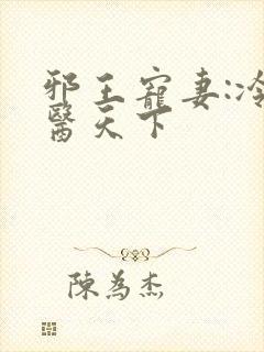 邪王宠妻:冷妃医天下