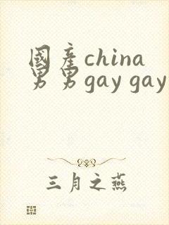国产china男男gay gay网站