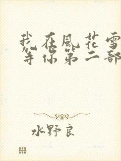 我在风花雪月里等你第二部