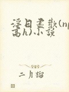 淫日尽欢(np高h)小说