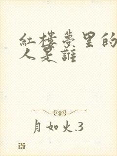 红楼梦里的邢夫人是谁封面