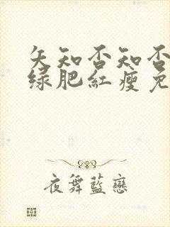 矢知否知否应是绿肥红瘦免费观看全集