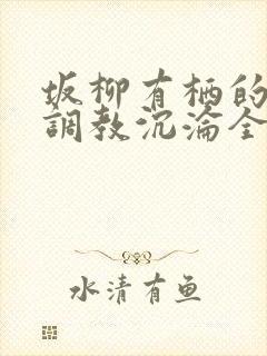 坂柳有栖的堕落调教沉沦全文免费