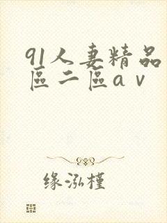 91人妻精品一区二区aⅴ