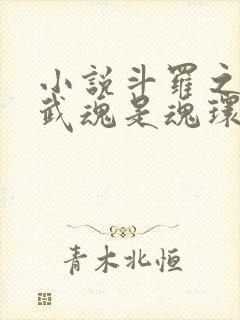 小说斗罗之我的武魂是魂环