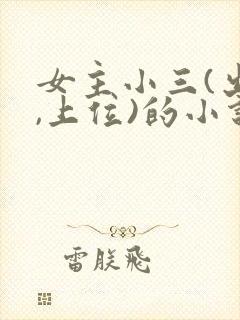 女主小三(出轨,上位)的小说